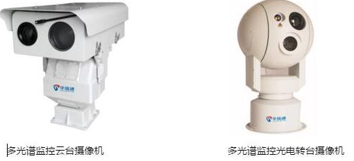 ?知識科普：森林防火這些關(guān)鍵知識點必須知道，非常重要！